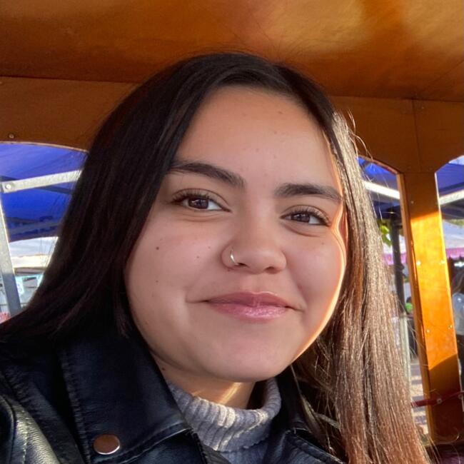 Niñera en Buin: Dellanira