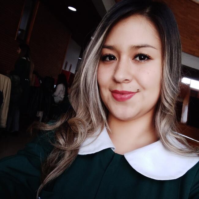 Babysitter in Port Montt: Pollette