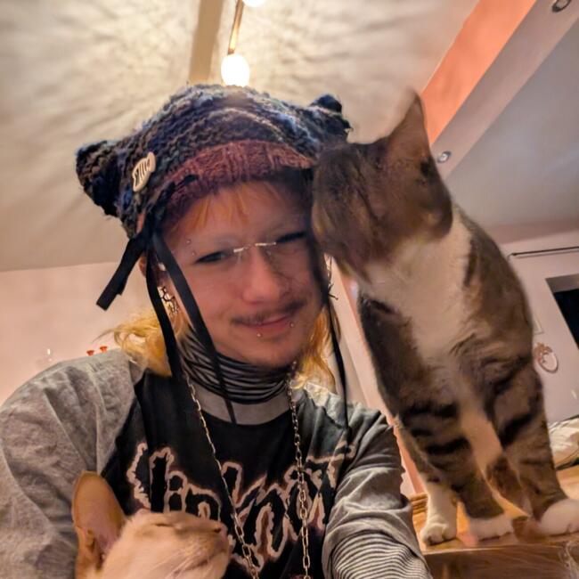 Babysitter in Marche-lez-Écaussinnes: Soan