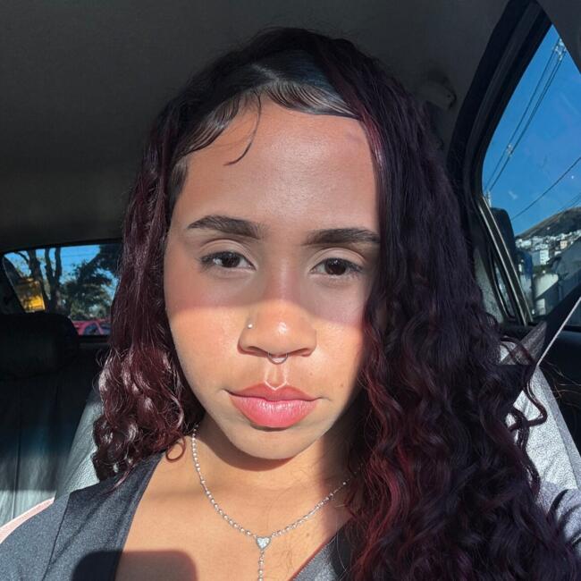 Babysitter in Juiz de Fora: Wladyelis