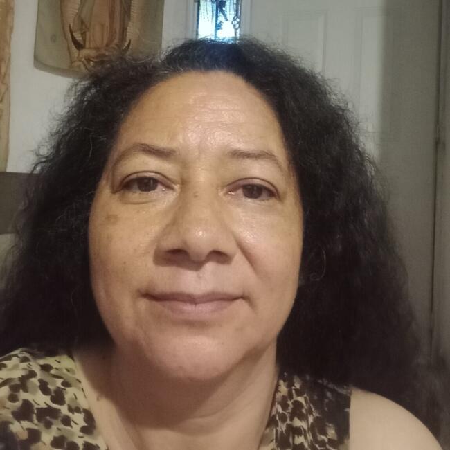 Babysitter in Irapuato: Natividad