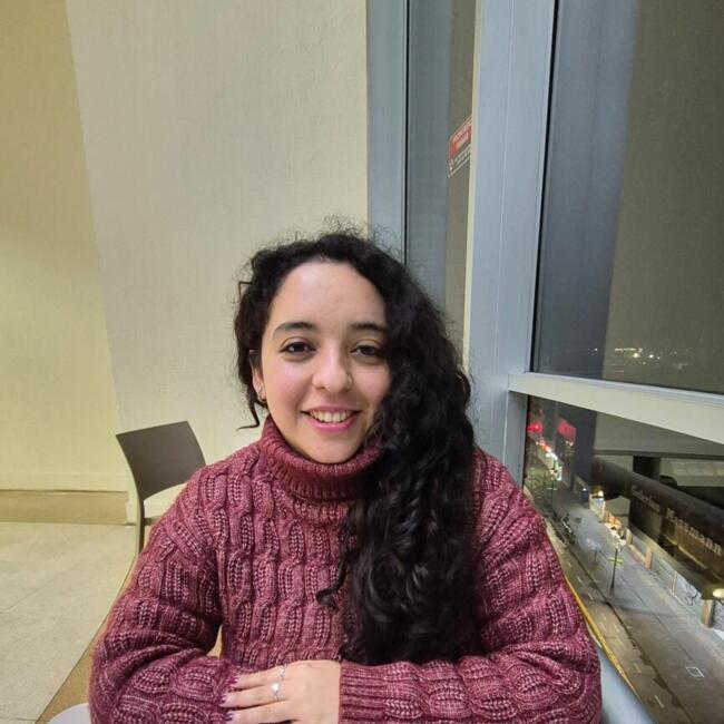 Babysitter in Temuco: Constanza
