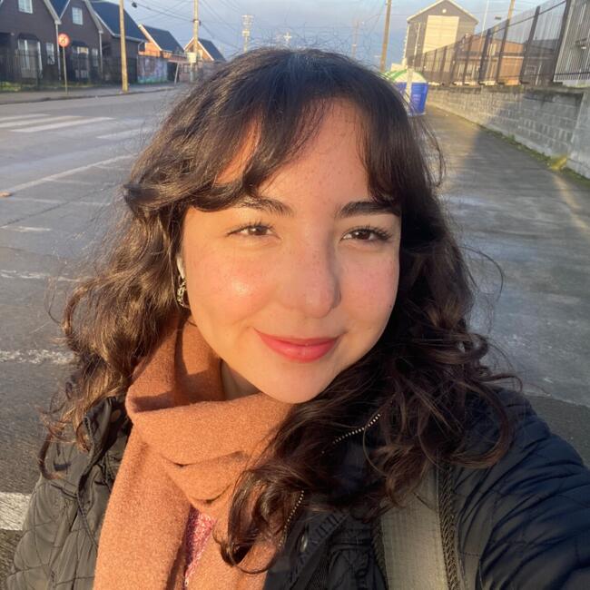 Babysitter in Port Montt: Natalia Bazán
