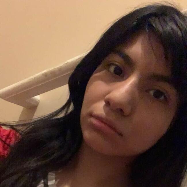 Babysitter in Winder: America