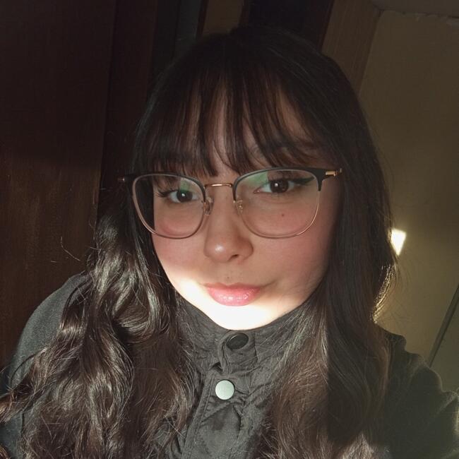 Babysitter in Osorno: Francisca