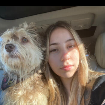 Babysitter in Temuco: Fernanda