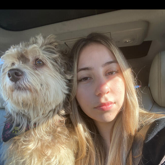 Babysitter in Temuco: Fernanda