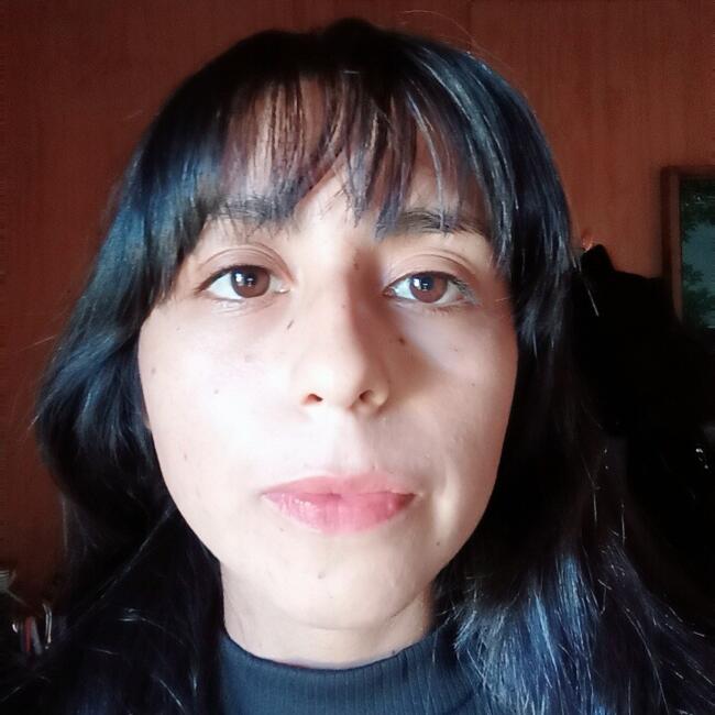 Babysitter in Temuco: Diana
