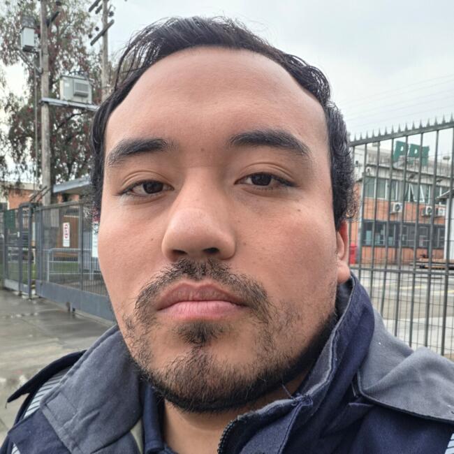 Babysitting job in Puente Alto: Diego