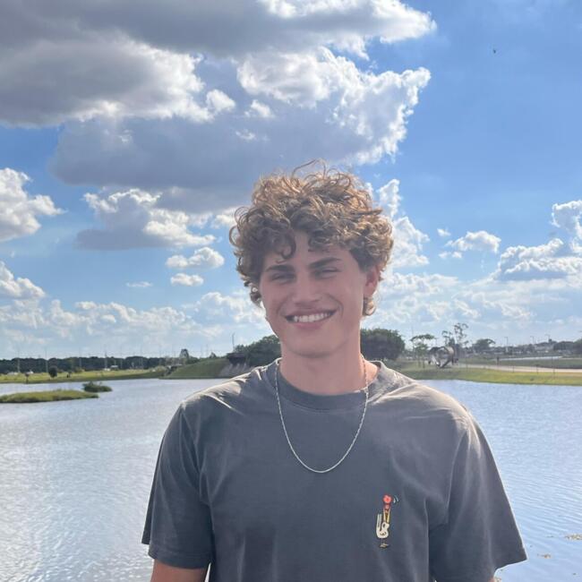 Babysitter in Piraquara: Edgard