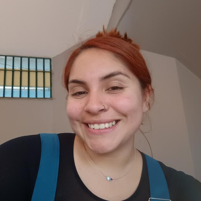 Babysitter in Puente Alto: Josefa