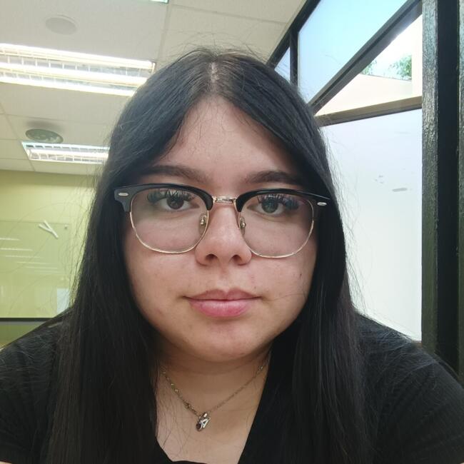 Niñera en Puente Alto: Aracely