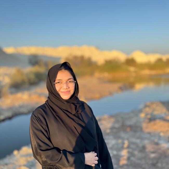 Babysitting job in Al Muharraq: Amber