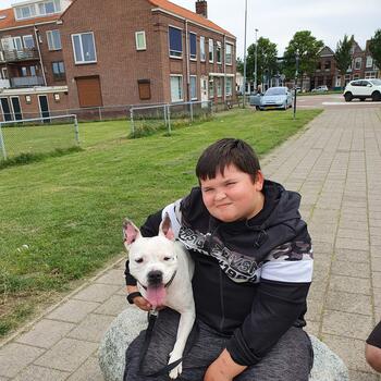 Babysitter in Den Helder: Cris