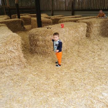 Babysitting job in Hull: babysitting job Autumn