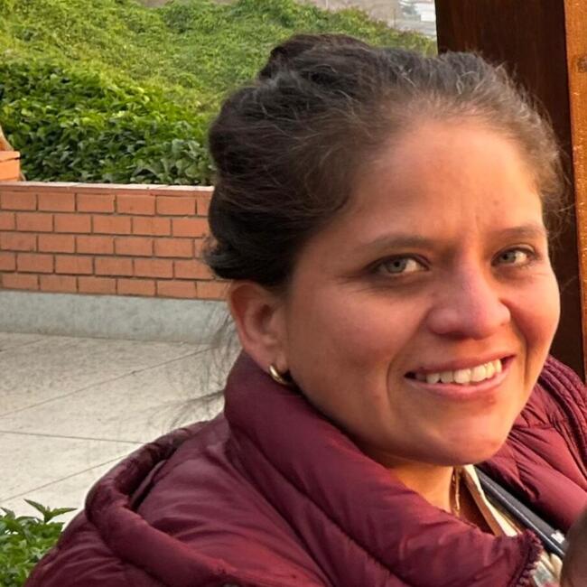 Babysitting job in Miraflores District: Brenda
