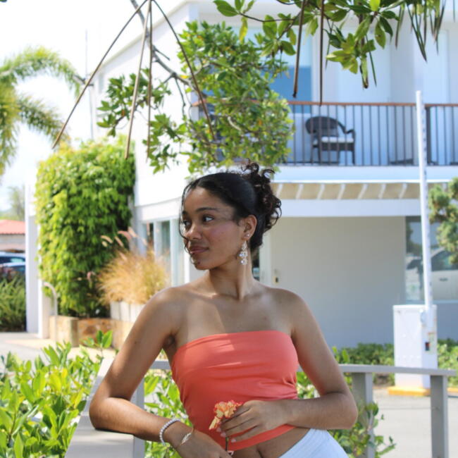 Babysitter in Toa Alta: Karelys