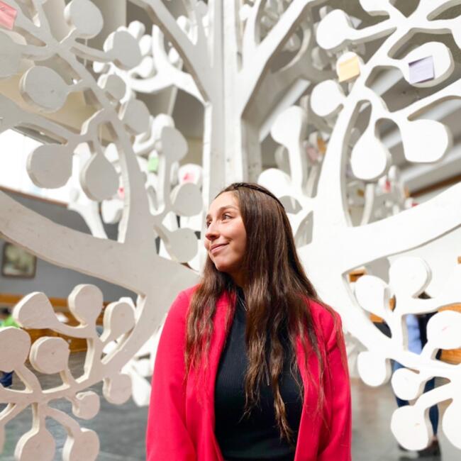 Babysitter in Port Montt: Fernanda