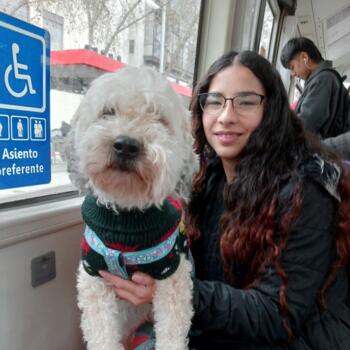 Niñera en Maipú: Saray