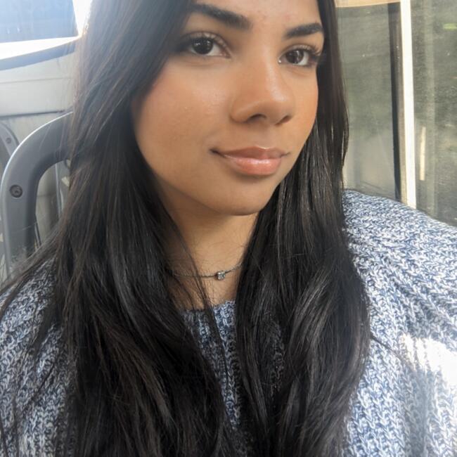 Babysitter in Volta Redonda: Ana