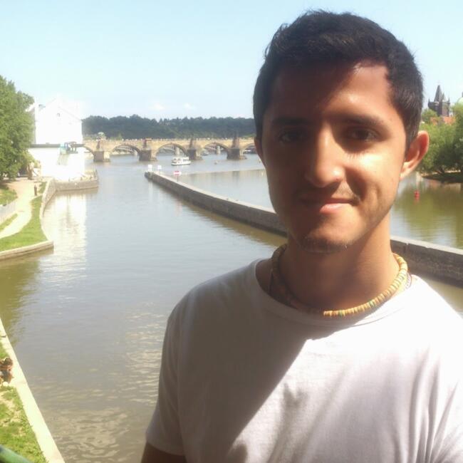 Δουλειά για babysitter στην περιοχή Σαντιάγο ντε Κερέταρο: Ricardo Huerta