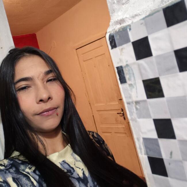 Babysitter in Duque de Caxias: Diana