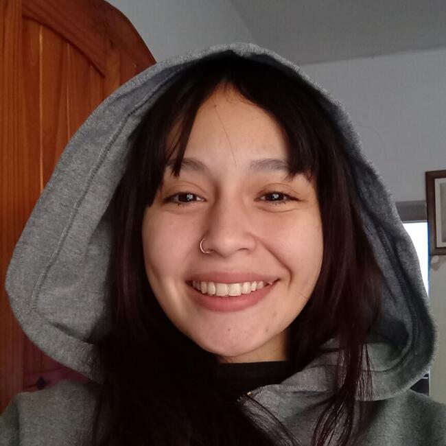 Babysitter in San Isidro: Virginia pilar
