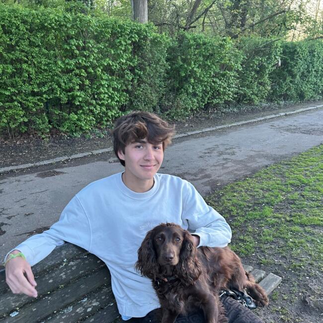 Babysitter in Braine-l’Alleud: Maxence