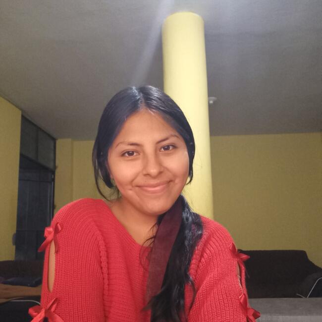 Babysitter in Chincha Alta: María