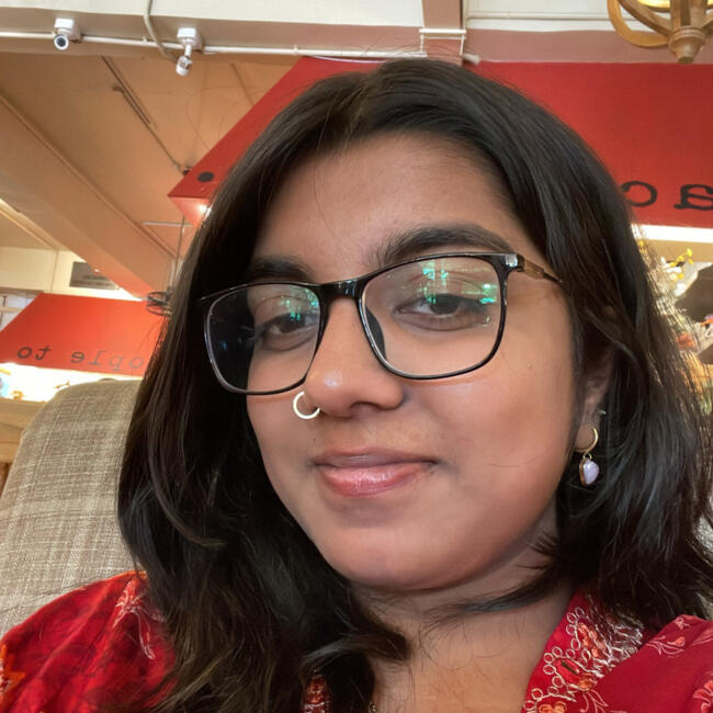 Babysitter in Auckland: Perry