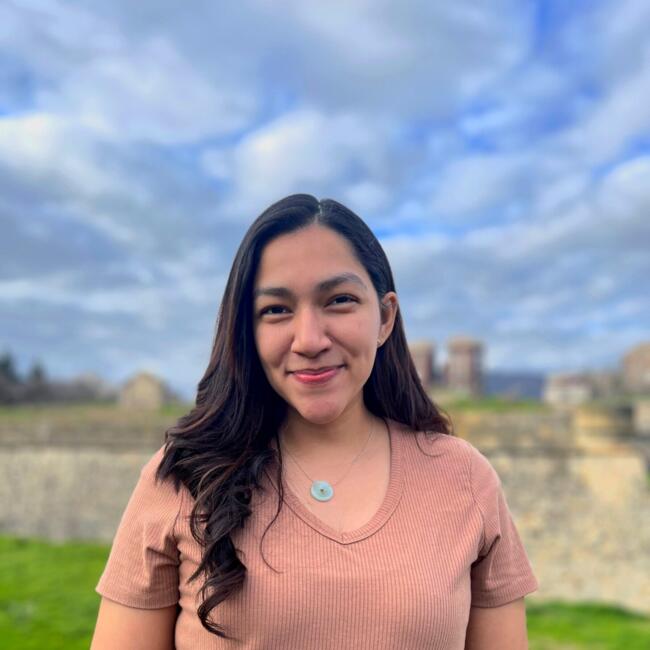 Babysitter in Pamplona: Allisson