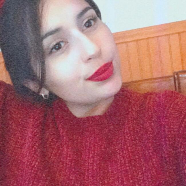 Babysitter in La Serena: Ayleen Bravo Cancino