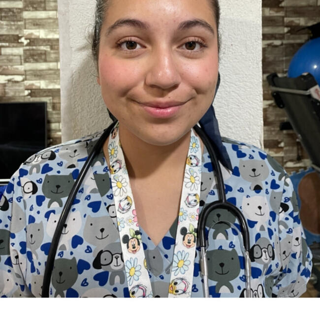 Babysitter in Coquimbo: Angela