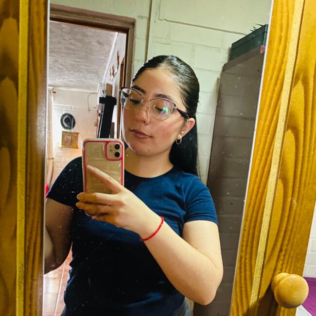 Babysitter in Santiago: Camila araya
