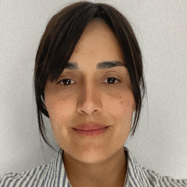 Babysitter in Barueri: Li