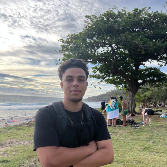 Babysitter in Toulouse: Leeroy