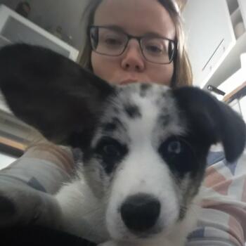 Babysitting job in Korsholm: babysitting job Linda