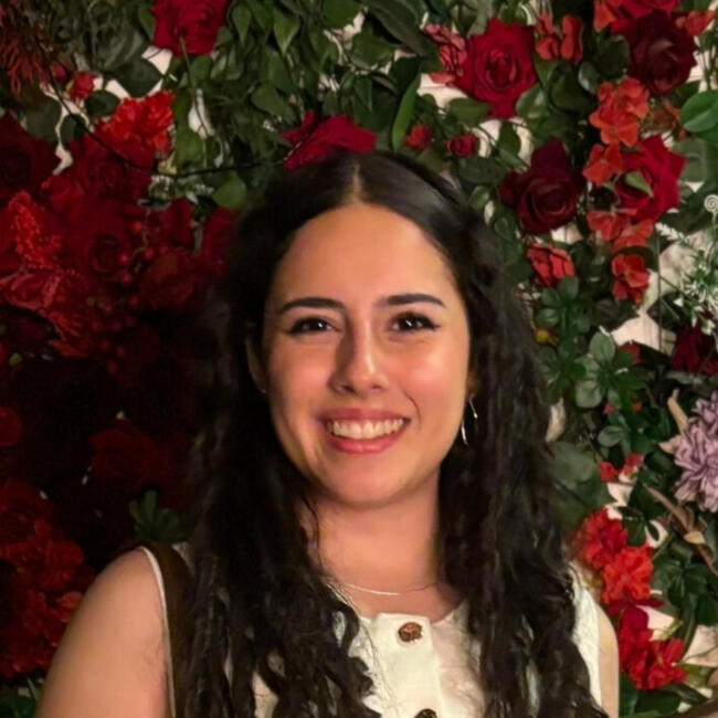 Babysitter in Santiago: Isis