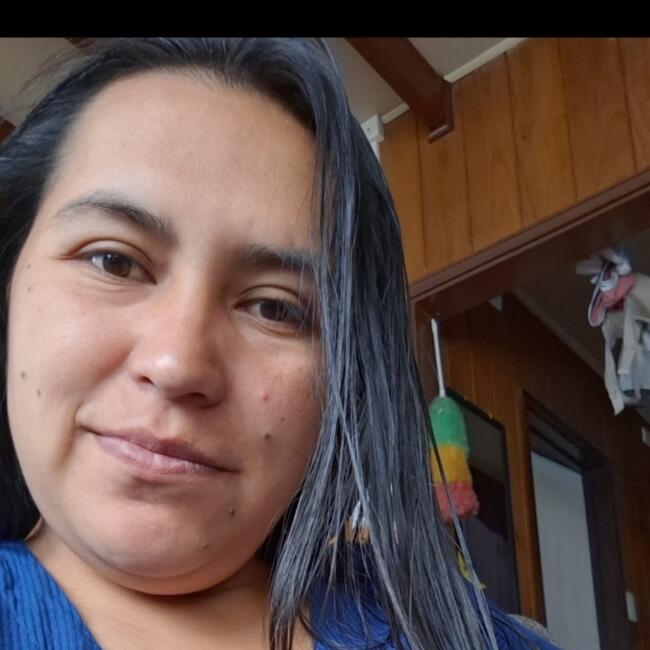 Trabajo para niñera en Valdivia: Herta