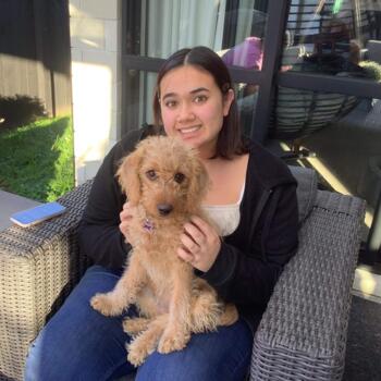 Babysitter in Lower Hutt: Edyn