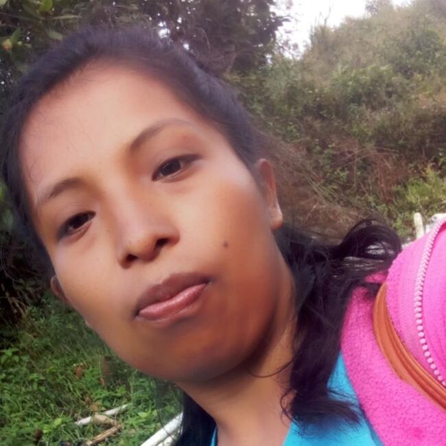 Babysitter in David: Yulissa Alvarez