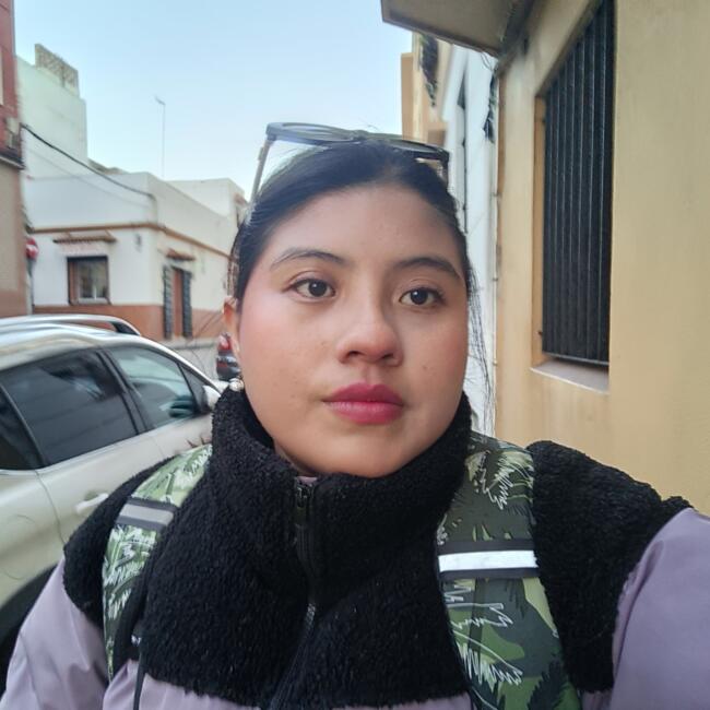 Baby-sitter in Villahermosa: Alicia