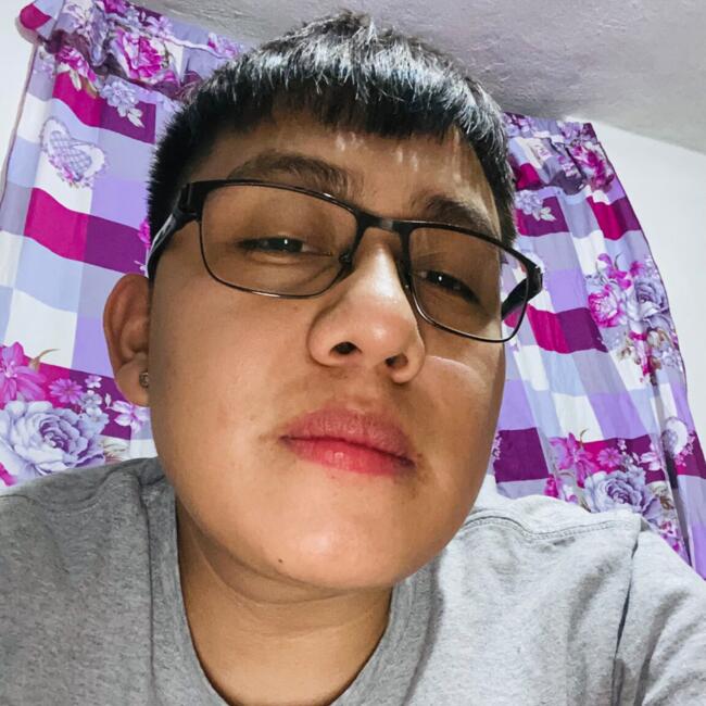 Babysitting job in General Escobedo: Ryan Martel