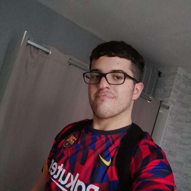 Babysitter in Saint-Etienne: Mathieu