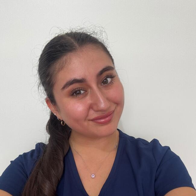 Babysitter in Temuco: Lizbeth