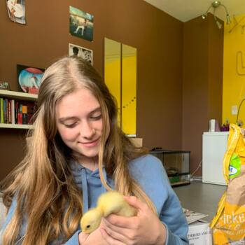 Babysitter Zottegem: Marlies