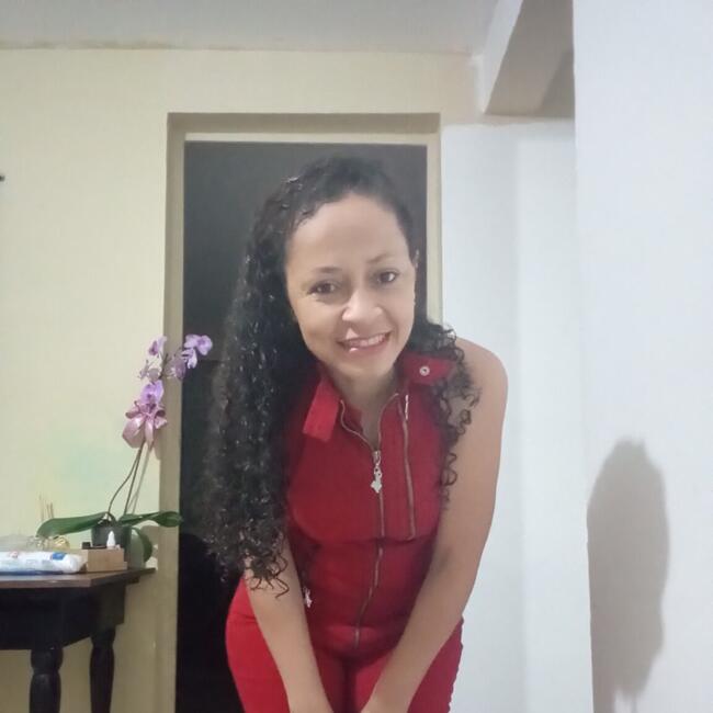 Babysitter in Campinas: Raynê