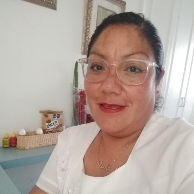 Babysitter in Almoloya del Río: Erika huerta
