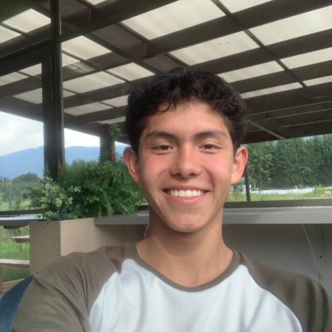 Babysitter in Chía: Nicolas