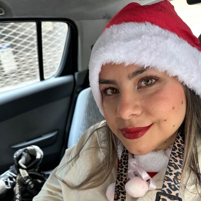 Niñera en Santiago de Chile: Aliarbis